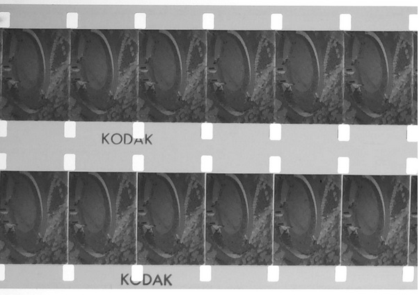 Image negative