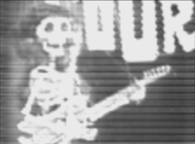 Vinyl Video
