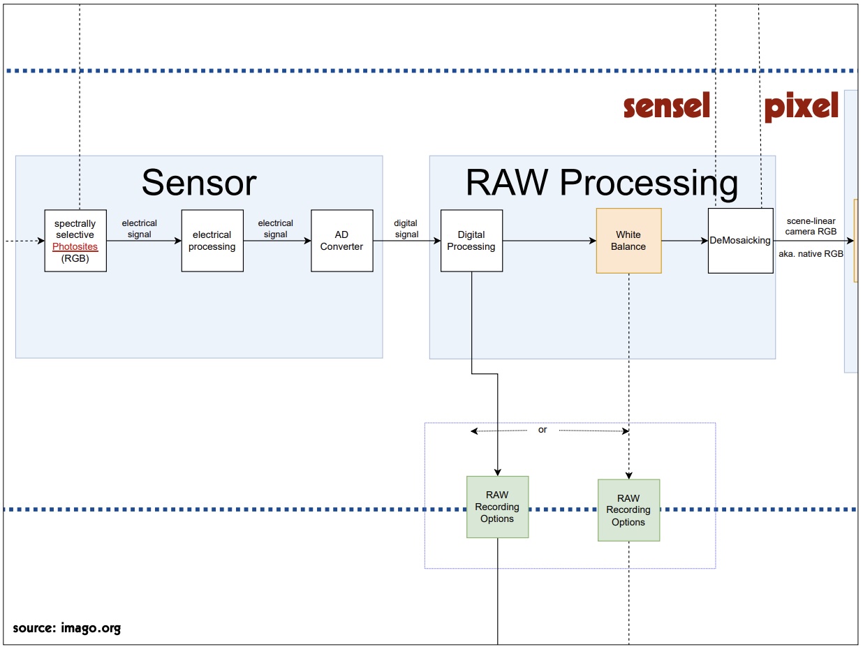RAW Processing